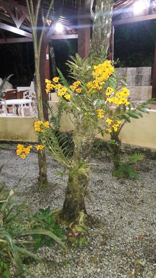 Pousada Recanto Dos Tangaras Juquei Exterior foto